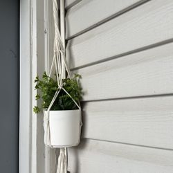 Set Of Two Fake Hanging Plants 