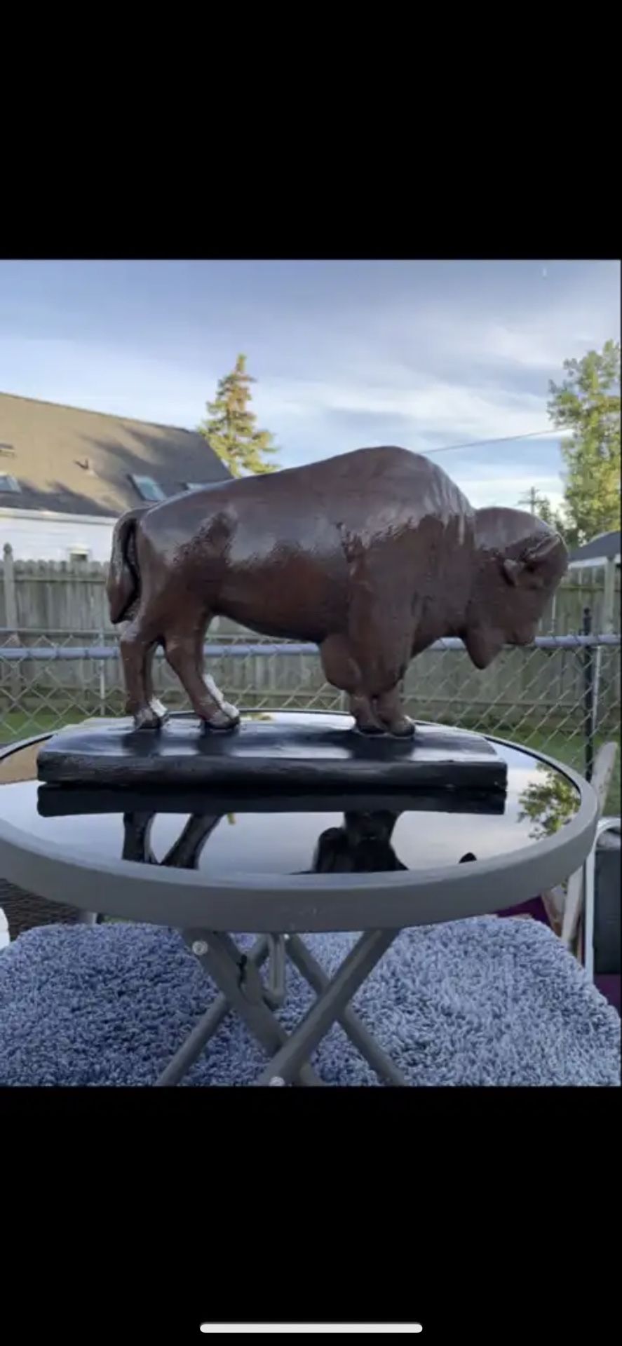 Classic Brown Buffalo