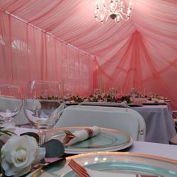 Canopy/Draping/backdrops