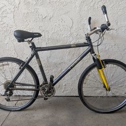 Trek hybrid bike