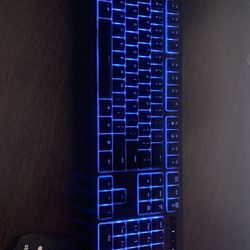 Razer Chroma Ornata