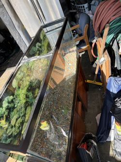 55 Gallon Tank With Stand 