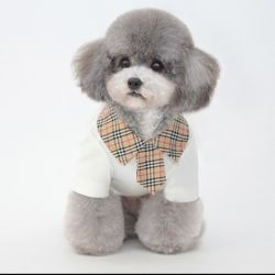 Small Dog Clothes 