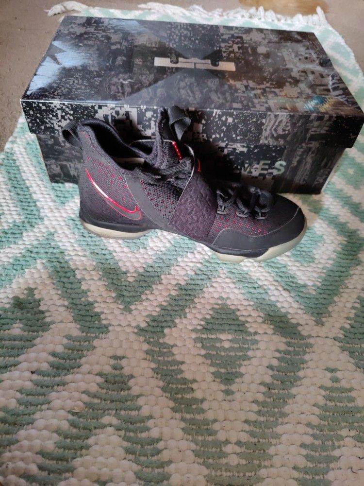 LeBron James Basketball Shoes
