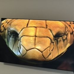 58 Inch Samsung Smart Tv
