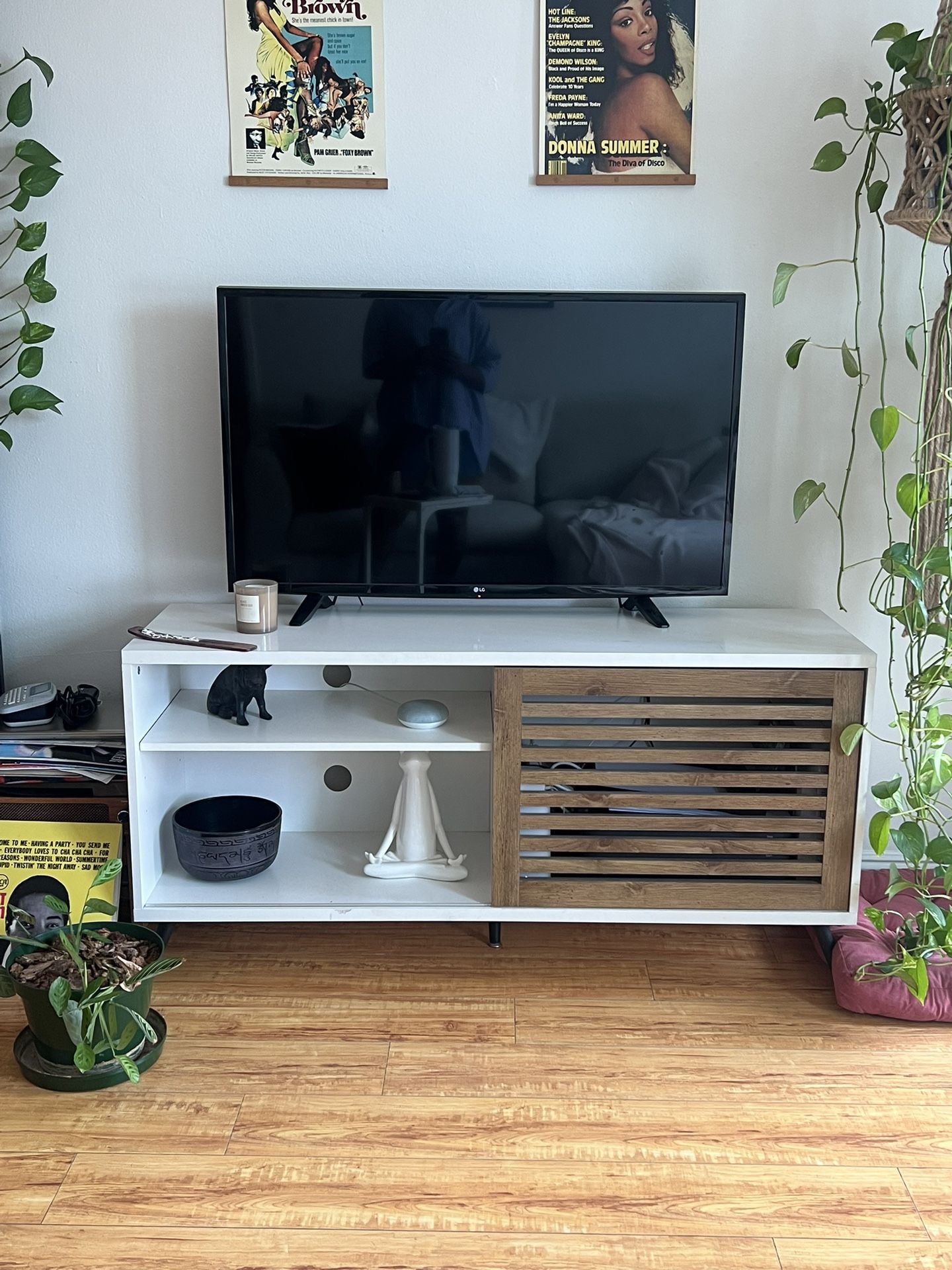 43” LG TV + Stand