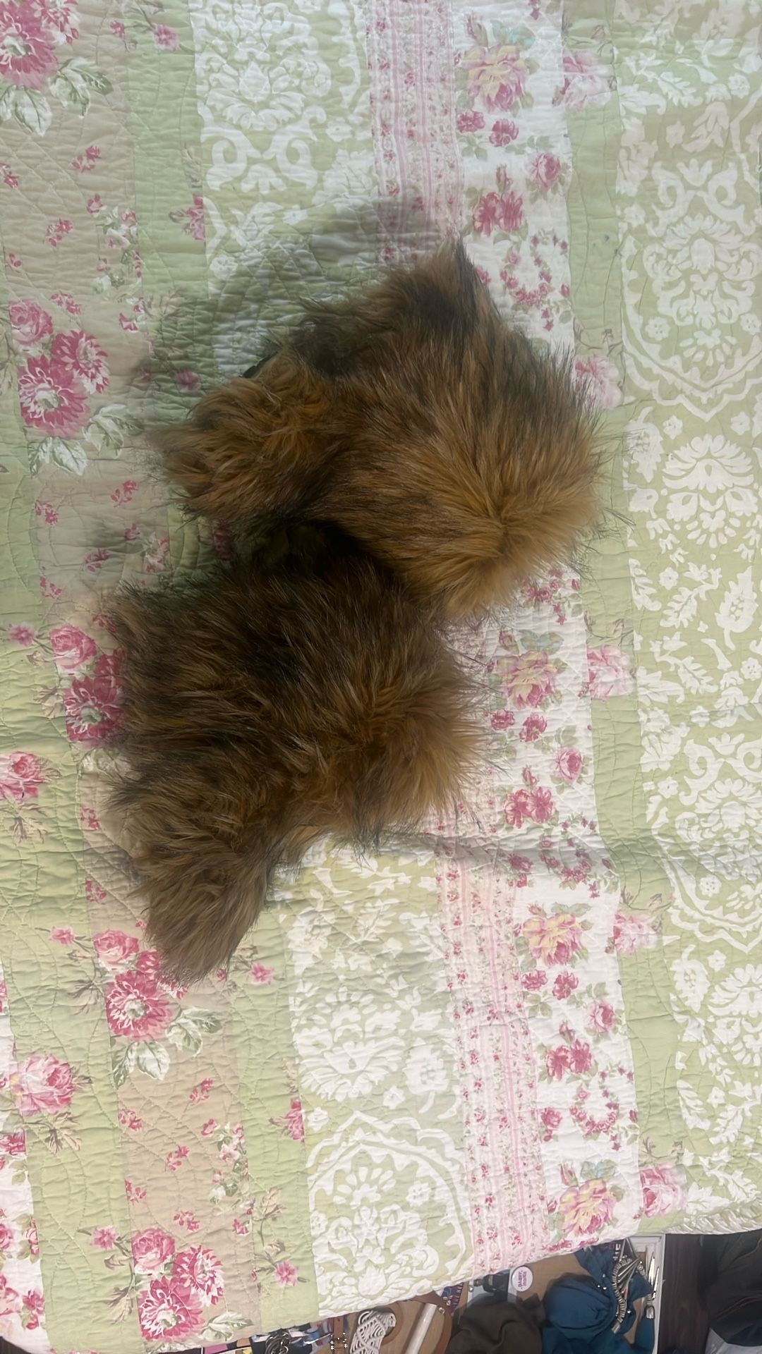 short raccoon fur boots