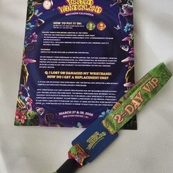 2Day VIP Beyond Wonderland