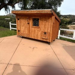 Custom Chicken Coup