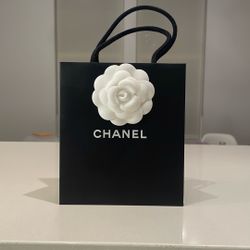 Chanel Shopping Gift Bag Box NEW Sz Small 