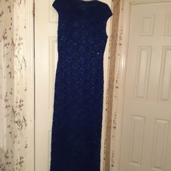 Blue Sequil Gown 