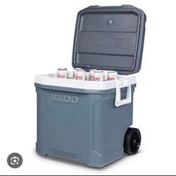 Best Cooler - Large Size (62 QT)