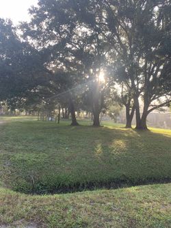 Land In Bithlo East Orlando