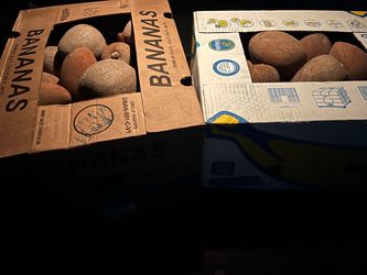 Mamey de la Florida