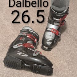 Dalbello Kids Ski Boots 