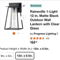 Raineville 1-Light 12 in. Matte Black Outdoor Wall Lantern with Clear Glass
