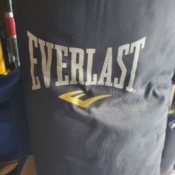 Everlast Punching Bag
