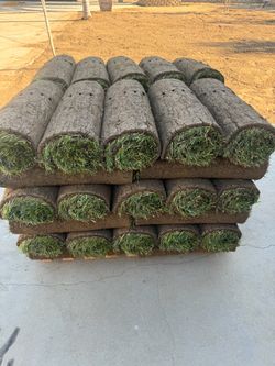 Landscape contractor