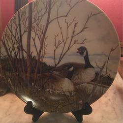 Plate From Collection