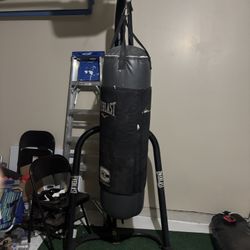 Everlast Boxing Bag With Stand 