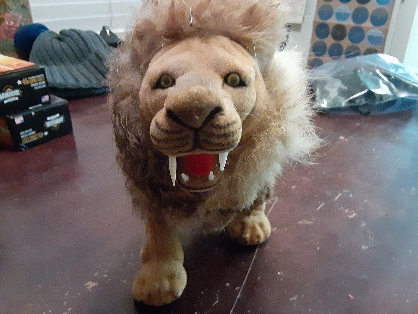 Antique lion with real fur (taxadermy lion)