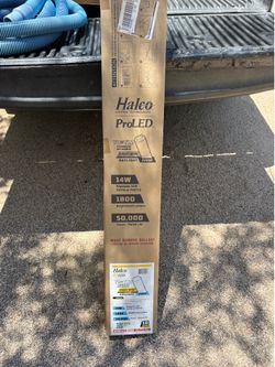 Halo Pro LED light bulbs 48”