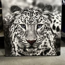 Leopard (purple eyes and shine)