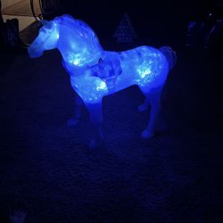 Caballo pon fluorescente de luces