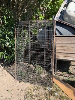 Cage