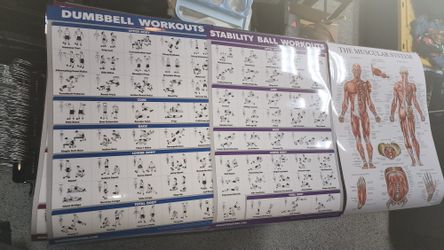 Exercise Posters
