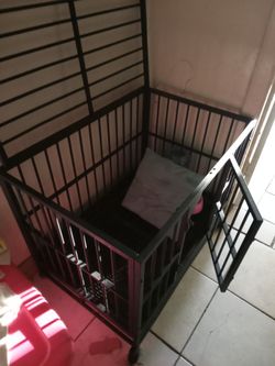 Dog Kennel