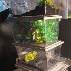 Small Fish Tanks