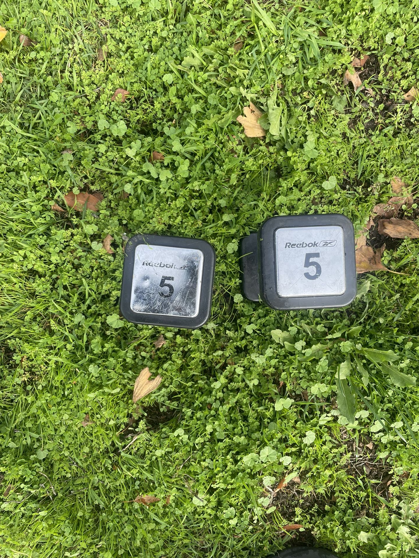5 Pound Dumbbells