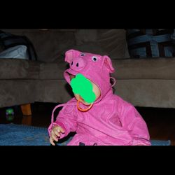 Baby Pig Costume 6-18 months