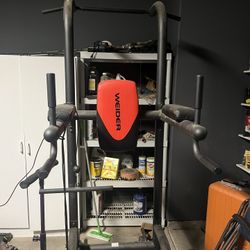 Weider Pullup/Dip Bar