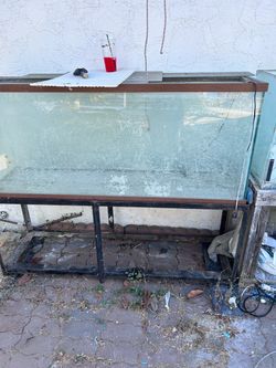 Fish tank