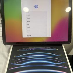Apple iPad Pro 12.9 6G 1 TB  WiFi /cellular Silver Super clean like new, barely used