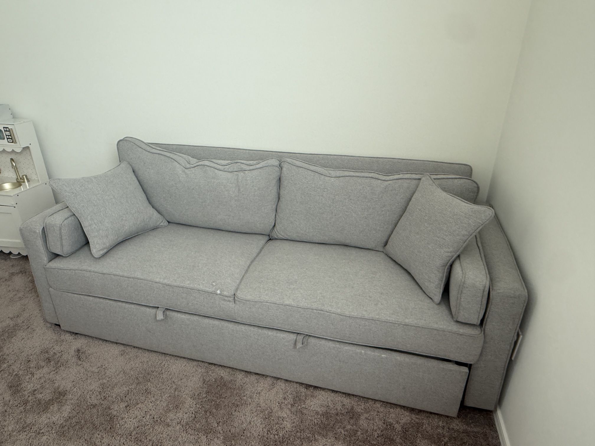 Pull Out Couch