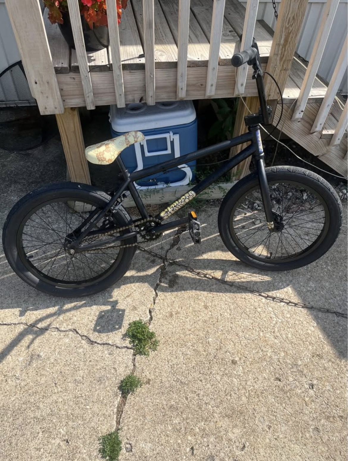 2023 For bike