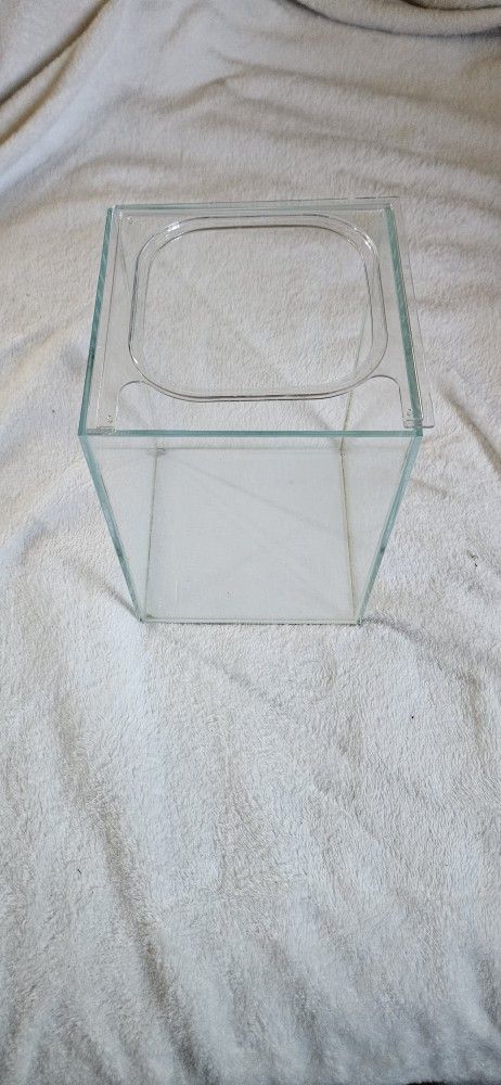 1.5 Gallon Fish Tank