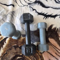 1 8lb And Two 3 Lb Dumbbells 