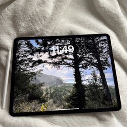 iPad Pro 5th Gen 12.9 inch screen 256gb