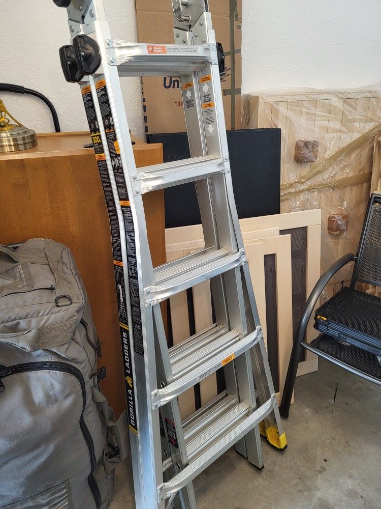 Ladder (Gorilla)