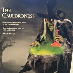 The Cauldroness