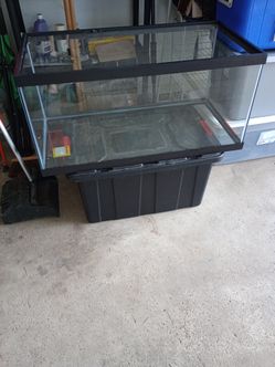 40 gallon breeder