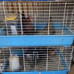 Cage