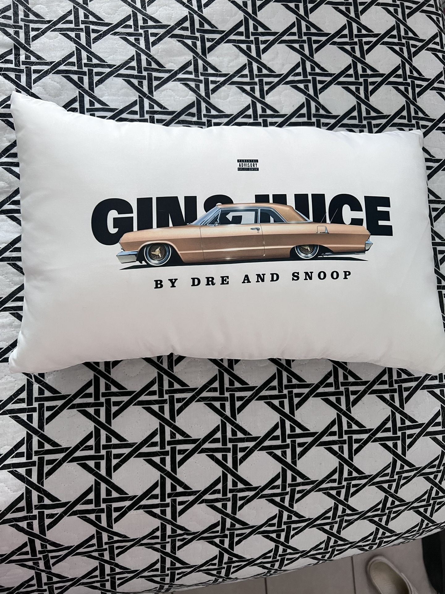 Dr Dre And Snoop Dog Pillow