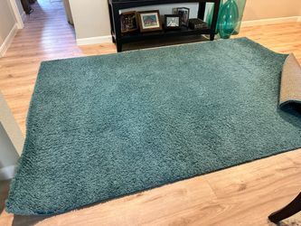 Big Rug 8’ x 10’.