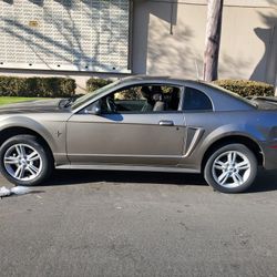 2014 Mustang Stock Rims