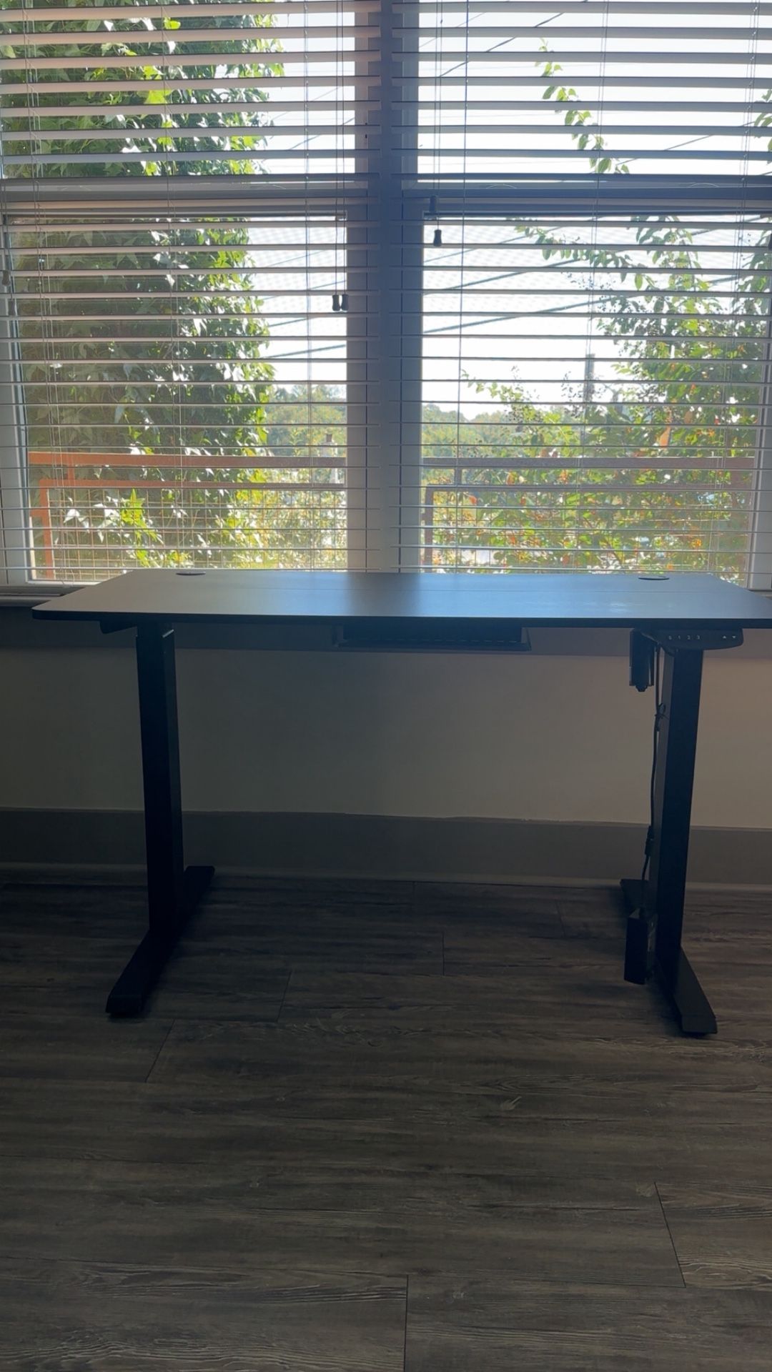 Electric Standing Desk